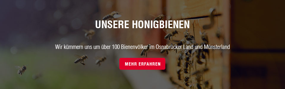 Unsere Honigbienen