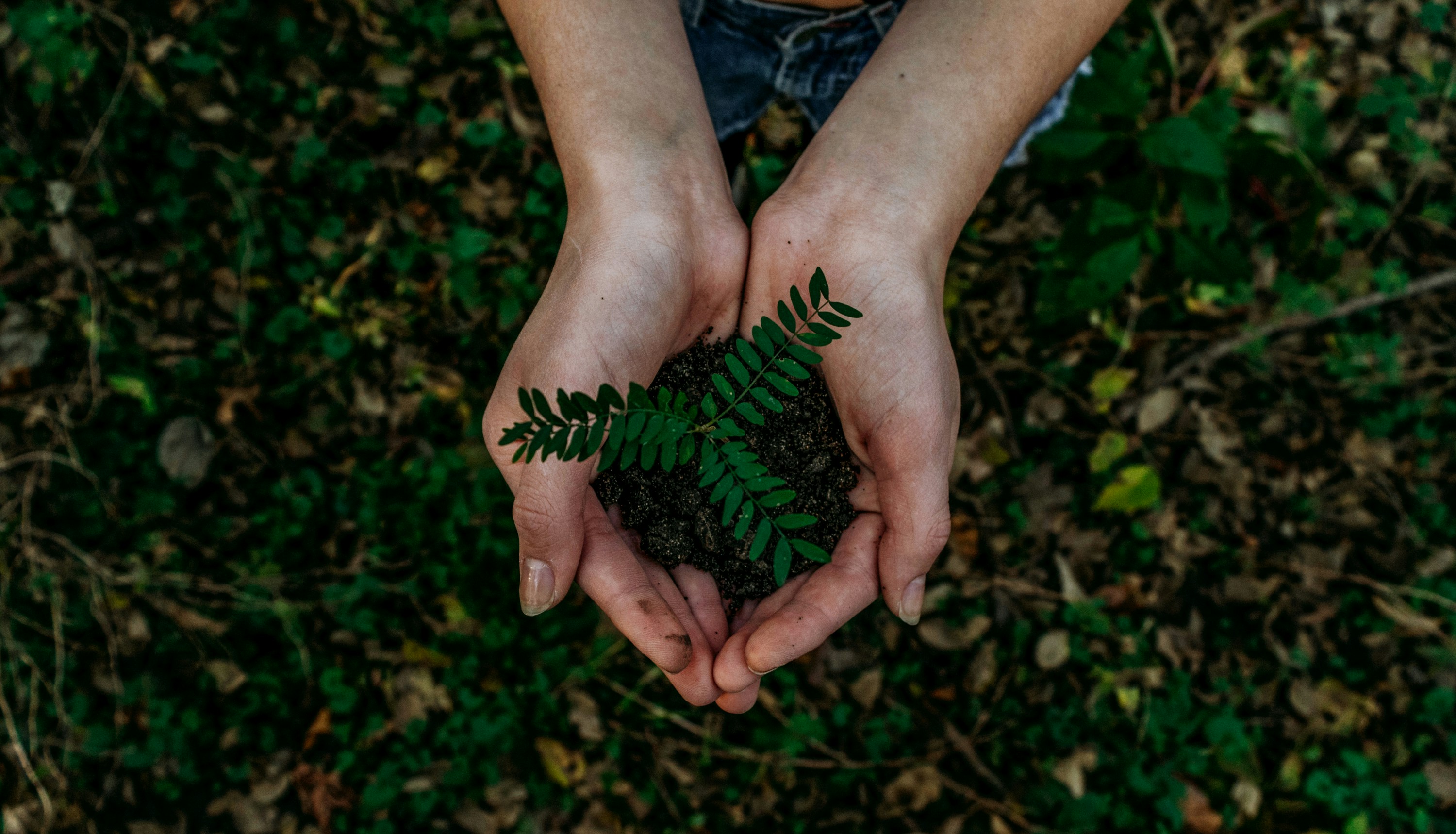 noah-buscher-x8zstuks2pm-unsplash-2